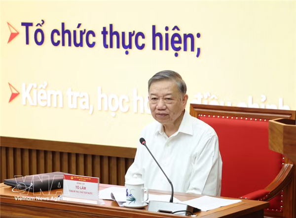 越共中央总书记、国家主席苏林：伟大愿景必须以正确的远见、有依据的决策和负责任的行动来实现