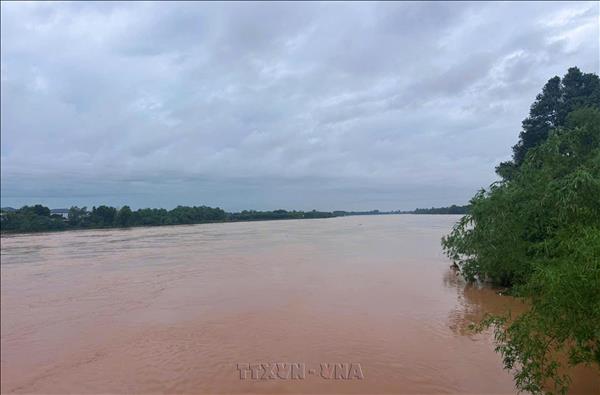 Ứng phó từ sớm-Kinh nghiệm hay chống lũ của người dân ven sông Thạch Hãn