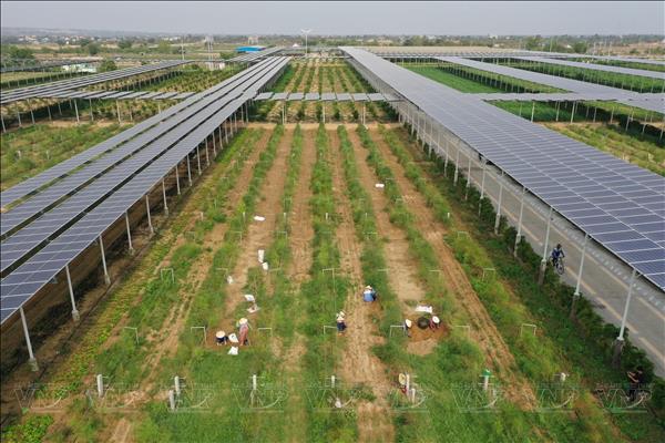 Sức sống mới từ tinh thần Nghị quyết 19-NQ/TW trên vùng đất hạn Khánh Hòa