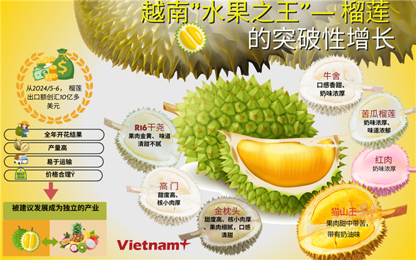 越南榴莲：从扩大产量到提升价值