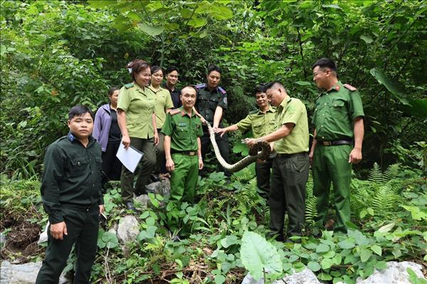 Giữ sinh cảnh, bảo vệ các loài động vật nguy cấp