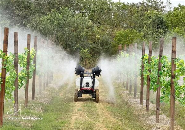 Lagriculture intelligente ouvre un nouveau champ de coopération entre le Vietnam et la Chine