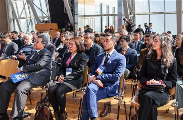 Vietnam impulsa expansión del mercado de anacardos en Argentina
