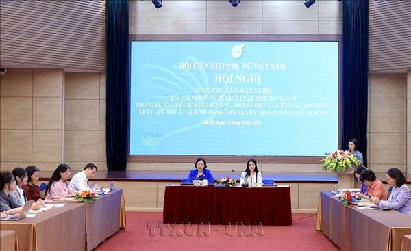 Thúc đẩy giám sát, phản biện xã hội trong thực hiện bình đẳng giới