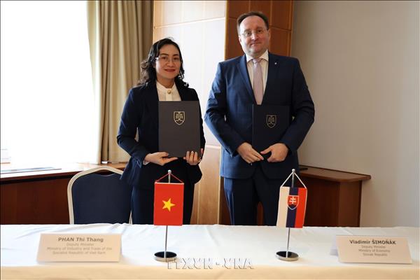 Khóa họp lần thứ 3 Ủy ban liên Chính phủ Việt Nam - Slovakia về hợp tác kinh tế