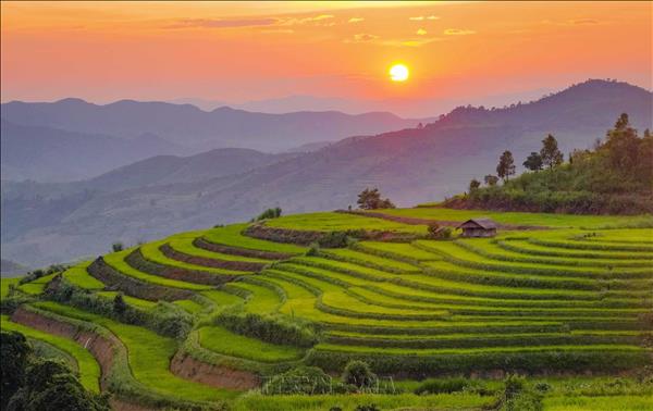 Pu Nhis Terraced Rice Fields in Dien Bien Emerge as Promising Destination
