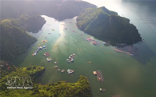 释放发展潜力 推动旅游业提质增效