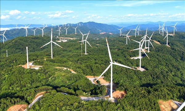 Quảng Trị đón thêm 400 MW điện gió, vốn đầu tư hơn 15.000 tỷ đồng