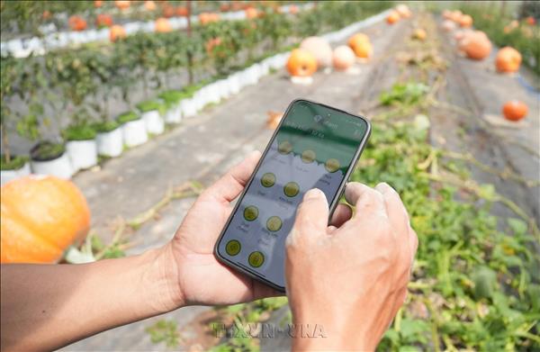 Nông dân Đà Lạt nhờ ứng dụng nông nghiệp thông minh