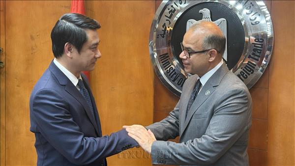 Le Vietnam et lÉgypte renforcent leur partenariat intégral