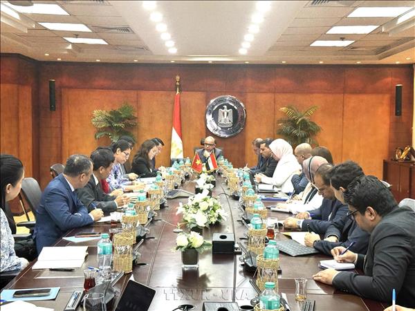 Vietnamese deputy foreign minister visits Egypt to enhance mutlifaceted ties