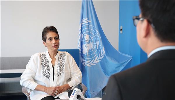 Vietnam can offer valuable lessons to support more effective multilateralism: UN official