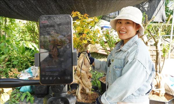 E-commerce gives young people a boost in entrepreneurship
