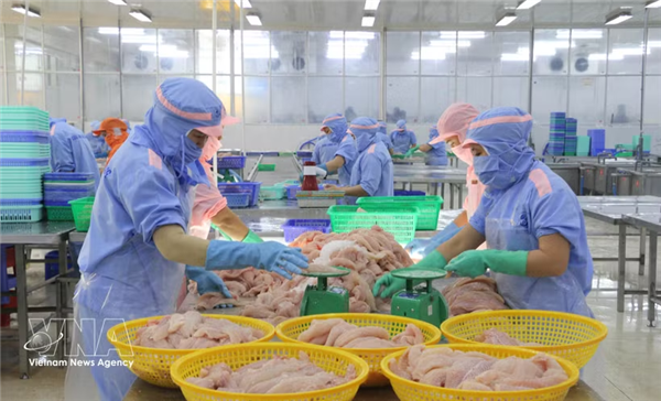 越南商品进军欧盟市场的大门日益敞开