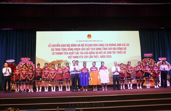 Phát triển bóng đá nữ theo hướng chuyên nghiệp, đạt thành tích cao