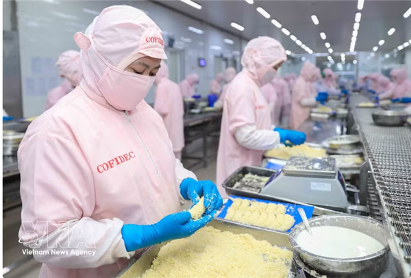 Vietnam-Canada : un potentiel accru de coopération dans le commerce, lindustrie et les chaînes dapprovisionnement