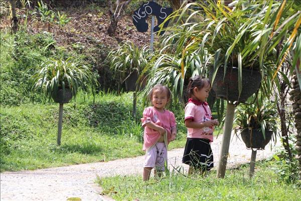 HMong Ethnic Village – A Haven of Serenity