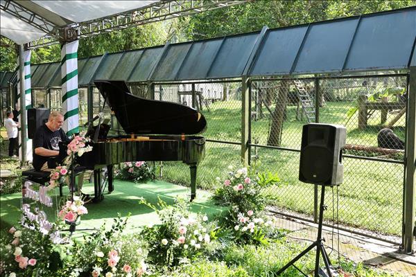 Rick Wakeman biểu diễn piano giữa rừng Tam Đảo cho những cá thể gấu được giải cứu