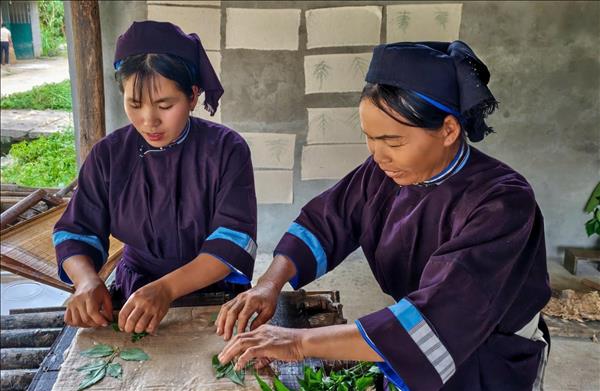 Cao Bằng phát huy giá trị Công viên địa chất để thúc đẩy du lịch, tạo sinh kế bền vững cho người dân