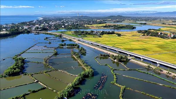 Quang Ngai: Preserving Mangrove Forests and Developing Sustainable Livelihoods