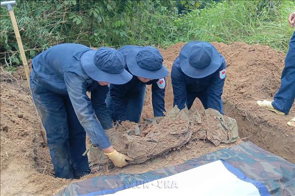 Đẩy nhanh tìm kiếm, quy tập và xác định danh tính hài cốt liệt sĩ