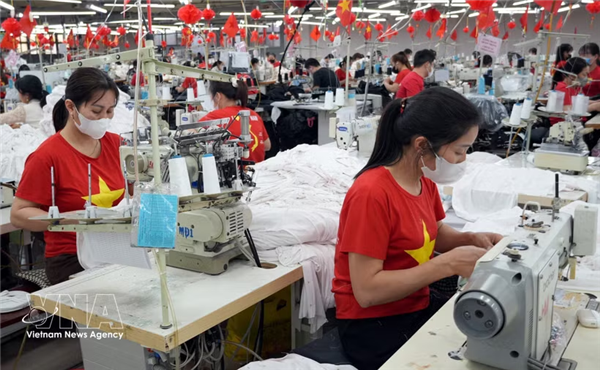 越南商品在CPTPP各市场仅占约1%的市场份额