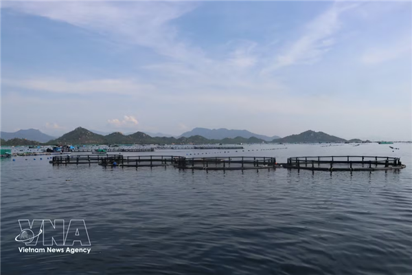 Vietnam abre un nuevo espacio para el desarrollo de la economía marina