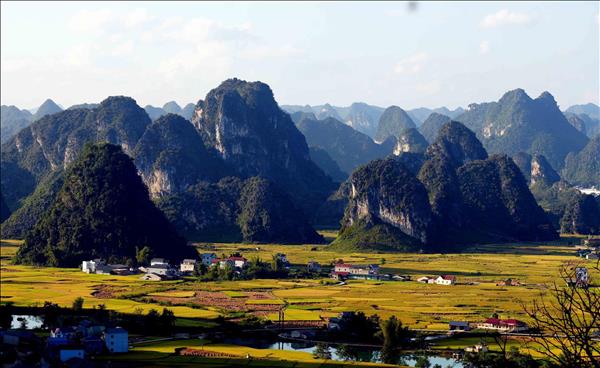 Ngọc Côn mùa lúa chín