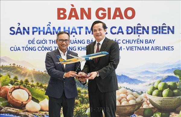 Điện Biên đưa mắc ca lên các chuyến bay của Vietnam Airlines