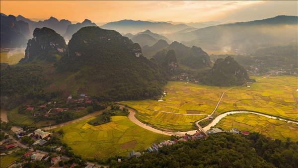 Mùa vàng trên thung lũng Chiềng Sinh, Điện Biên