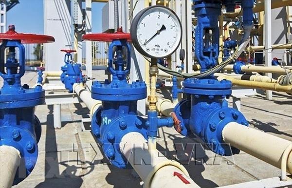 Perspectivas de cooperación petroquímica entre Vietnam y Rusia