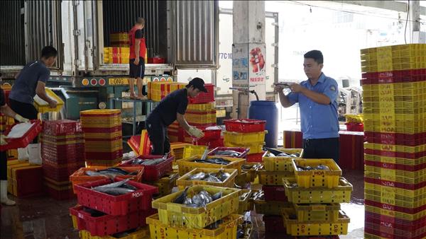 Gia Lai turns to digital tracking to meet ECs fishing requirements