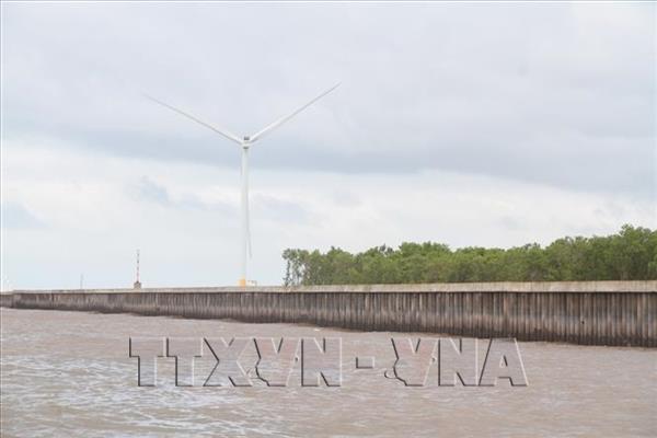 Provincia de Ca Mau impulsa la transición verde sobre plataformas digitales