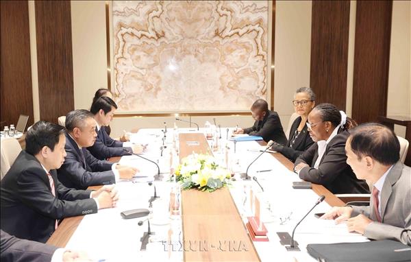 Vietnam shares inspection experience with FRELIMO Party delegation