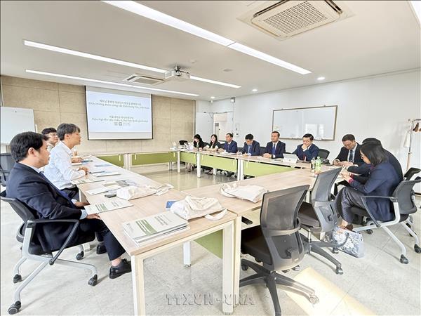 Thúc đẩy hợp tác đào tạo, khoa học công nghệ và y tế giữa Việt Nam và Hàn Quốc