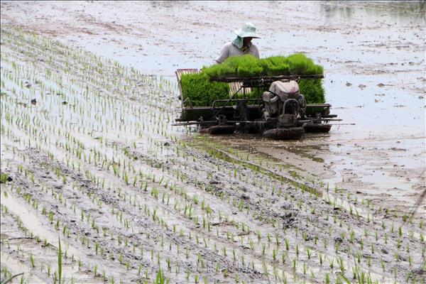 Lentrepreneuriat vert valorise les produits agricoles vietnamiens