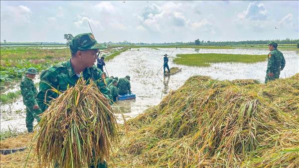 Khẩn trương hỗ trợ người dân giảm thiểu thiệt hại do mưa lũ