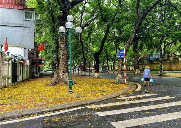 Thời tiết ngày 5/10: Không khí lạnh gây mưa lớn, vùng núi có nơi dưới 18 độ C