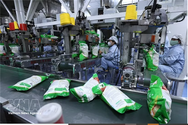 Riz : des exportations en baisse, mais des marchés en forte croissance