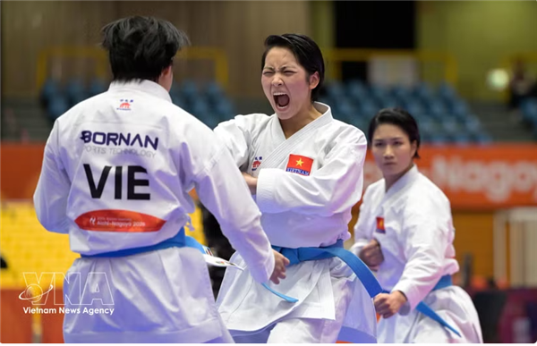 ASIAD 20 : concentrer les ressources sur les disciplines prioritaires pour le sport vietnamien