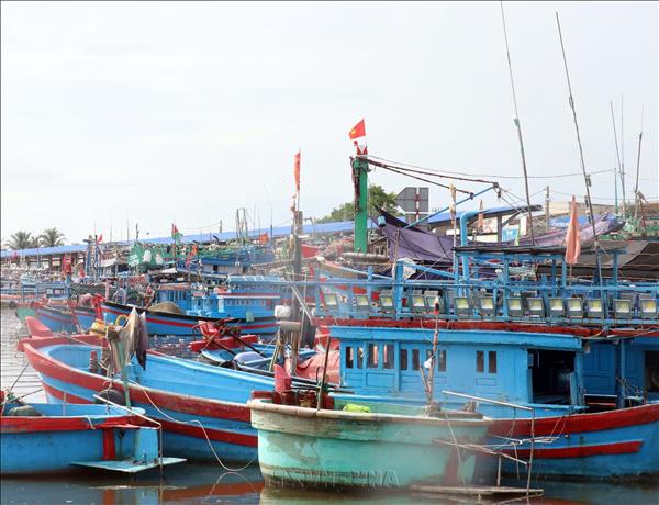 Dak Lak fishermen enhance preparedness for rough-sea fishing, IUU fishing combat