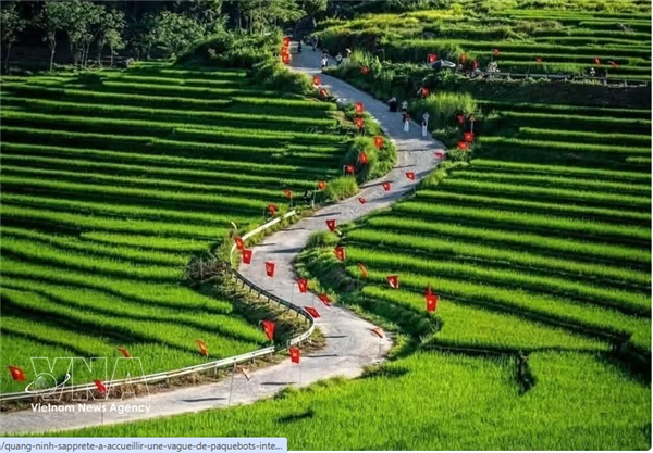 Le secteur du voyage appelé à accroître la valeur du tourisme vietnamien
