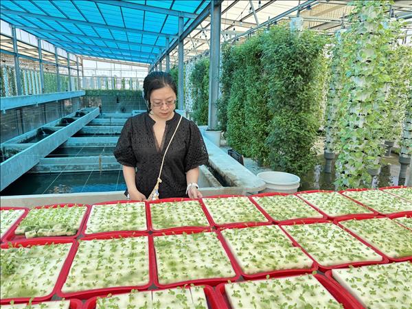 Đến Suối Gạo chèo thuyền, hái rau