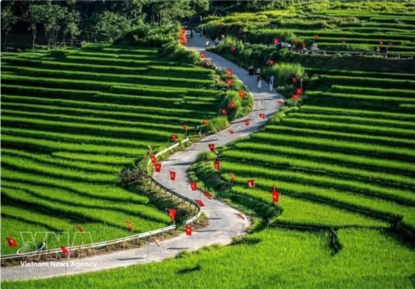 Lâme du voyage fait vibrer le tourisme vietnamien au-delà des stats