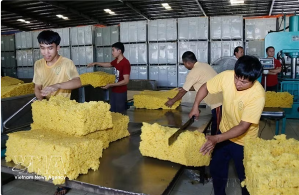 Le Vietnam et le Laos ambitionnent de porter leur commerce bilatéral à 10 milliards de dollars
