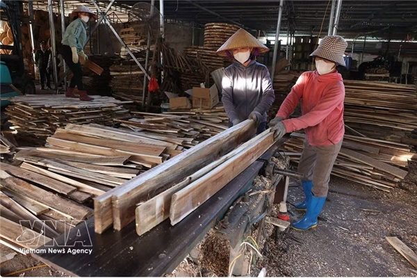 La filière bois vietnamienne mise sur le marché intérieur
