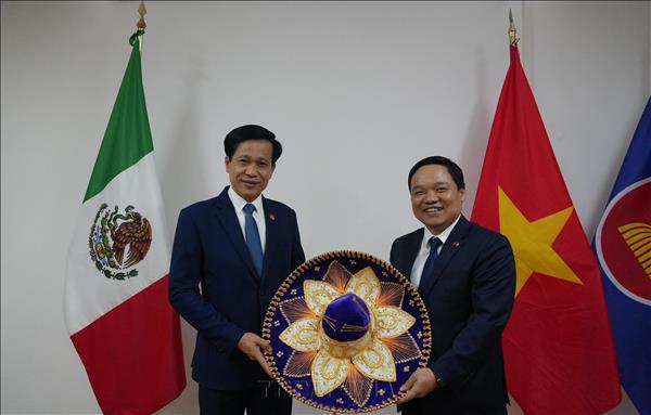 Vietnam promotes Party diplomacy at international conference in Mexico