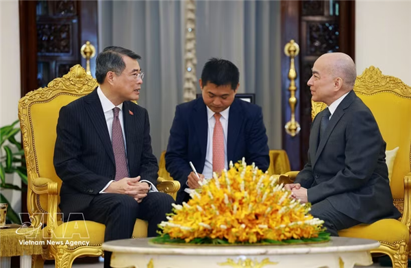 越南政府总理黎明兴拜会西哈莫尼国王和莫尼列太后