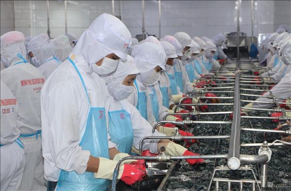 Tạo động lực tăng trưởng từ khu, cụm công nghiệp ở Cà Mau