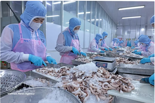 Produits aquatiques : le Vietnam vise 12 milliards de dollars dexportations en 2026